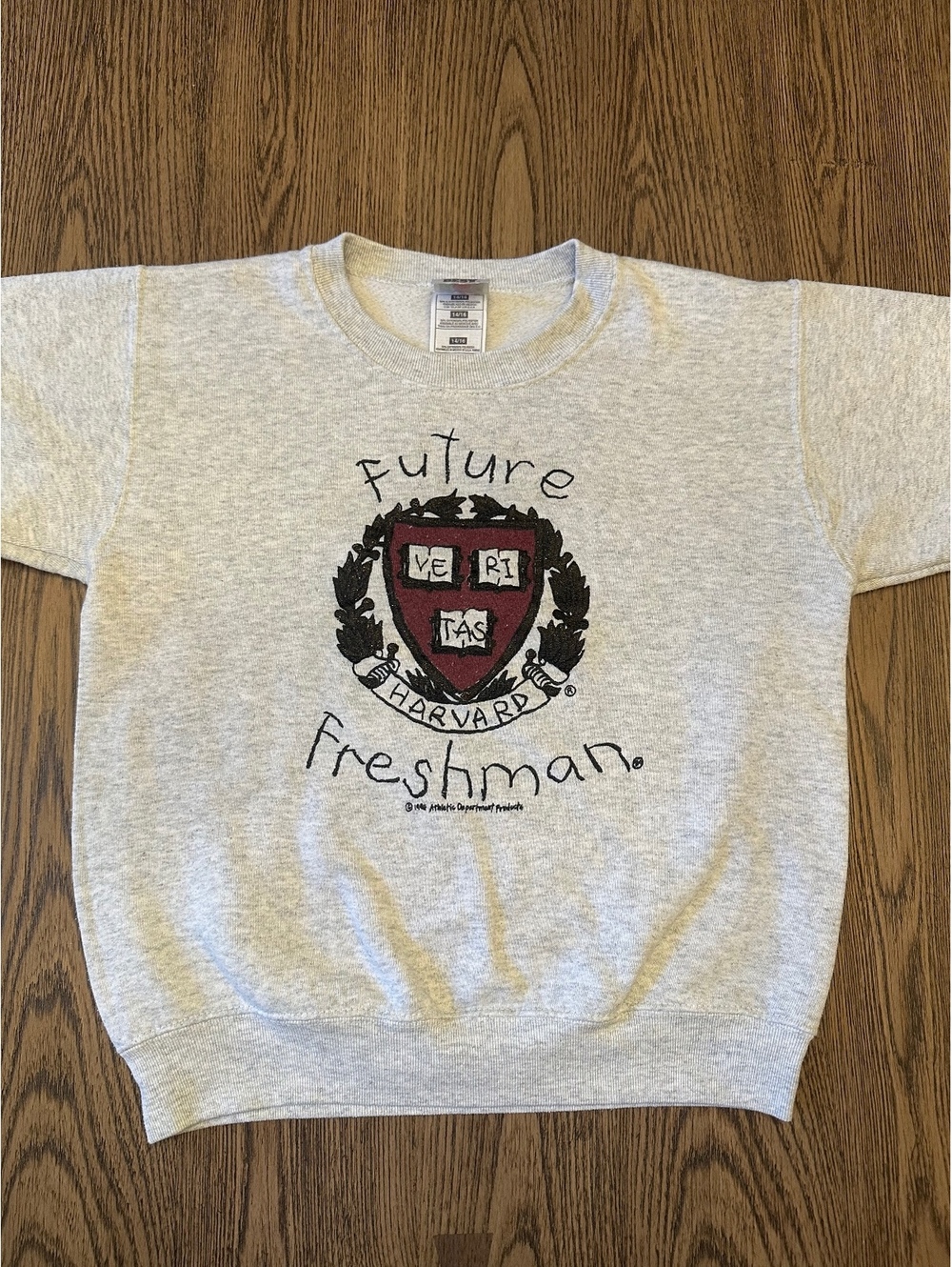 Vintage Youth 1994 Harvard Future Freshman Gray Sweatshirt Size 14/16